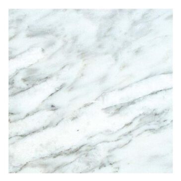 MS International Marble Arabescato Carrara 12" x 12" Honed Natural Stone Tile, , large