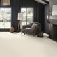Anderson Tuftex Finery Carpet in Cotton, , large