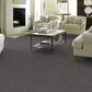 Shaw Just Right I Carpet in Mocha, , large