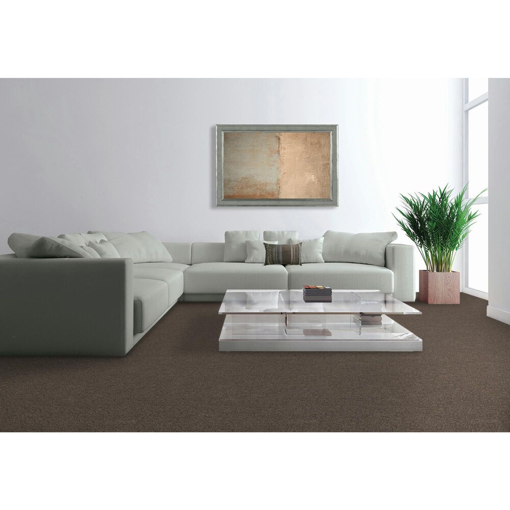Mohawk Quality Feeling Carpet in Lite Espresso, , large