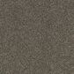 Karastan Upscale Living Carpet in Stormwatch, , large