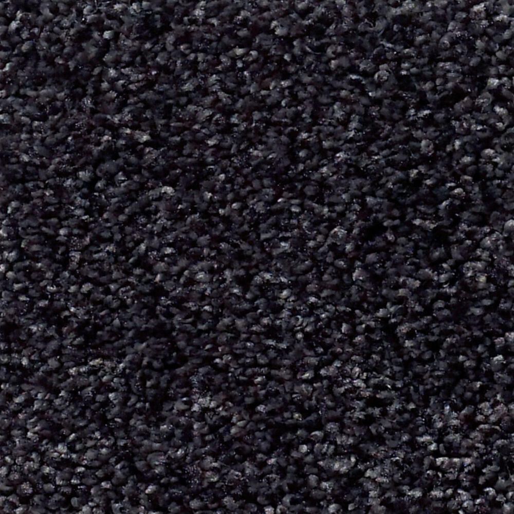 Shaw Find Your Comfort TT II Carpet in Movie Night, , large