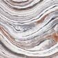 Safavieh Cyrus Shag CYR134F CYRUS SHAG 4"5" x 6"5" Grey and Rust Area Rug, , large