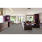 Stanton Adventure Carpet in Chrome, , large