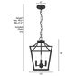 Hunter Laurel Ridge 12" 4-Light Lantern Pendant in Natural Iron, , large