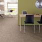 Anderson Tuftex Caress Free Spirit Carpet in Sandstone, , large