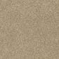 Shaw Tonal Comfort I Carpet in Honey Tea, , large