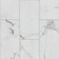 Shaw Synergy Platinum White 12" x 24" Luxury Vinyl Tile, , large