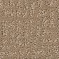 Shaw Clever Design Carpet in Worn Path, , large