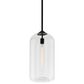 Troy Lighting District 10" 1-Light Pendant in Soft Black and Clear, , large