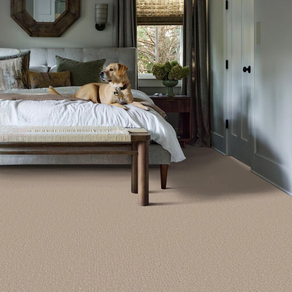 Shaw Secret Journey Carpet in Baja, , large