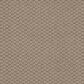 Anderson Tuftex Cathedral Grove Carpet in Smoky Pearl, , large