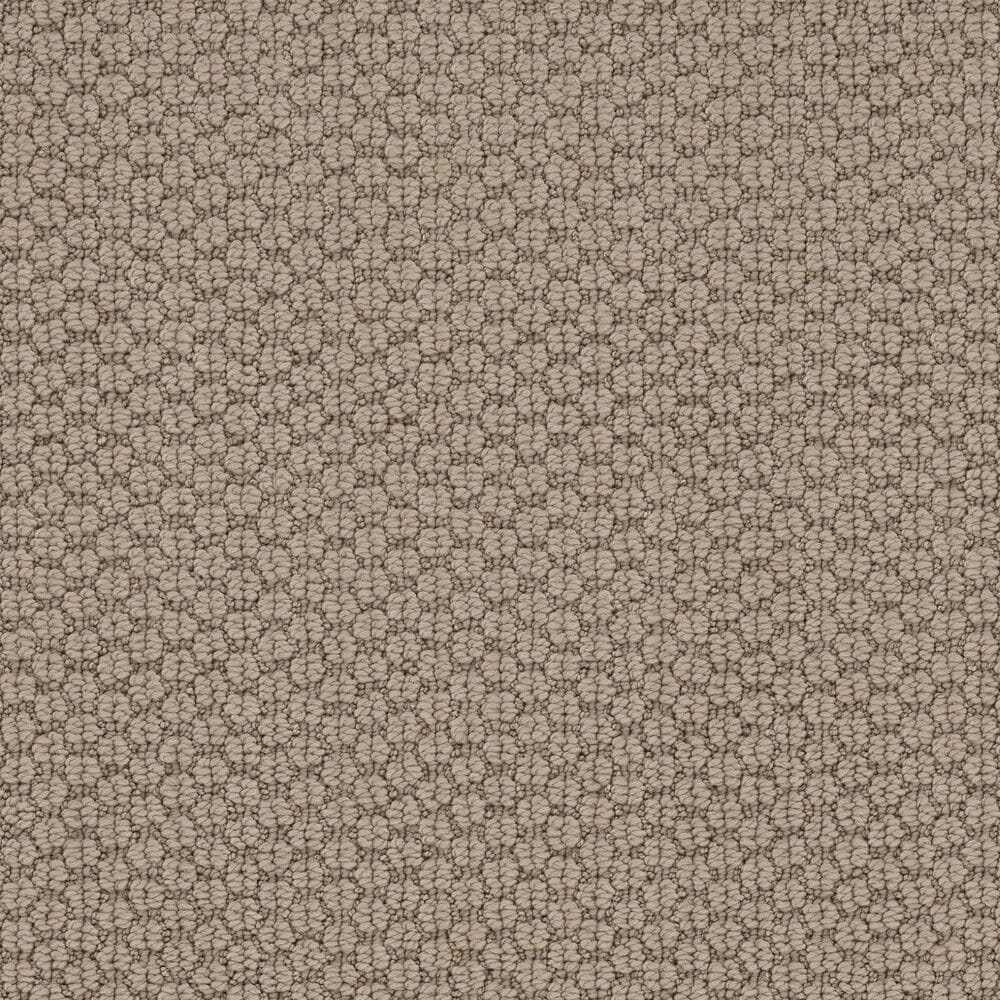 Anderson Tuftex Cathedral Grove Carpet in Smoky Pearl, , large