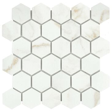 Emser Visconde Oro 2" x 2" Hexagon on 12" x 12" Glazed Porcelain Mosaic Sheet, , large