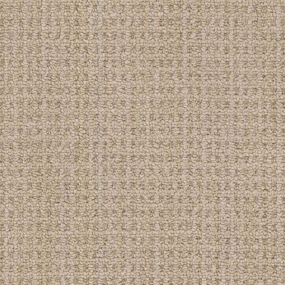 Masland Take It Easy Carpet in Prescott, , large
