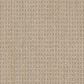 Masland Take It Easy Carpet in Prescott, , large