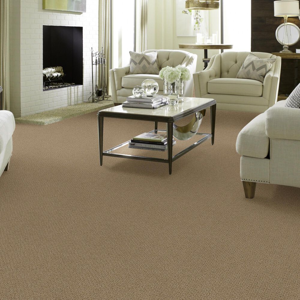 Shaw Detailed Statement Loop Carpet in Twig, , large