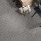 Anderson Tuftex Caress by Shaw Chateau Fare Carpet in Shadow, , large