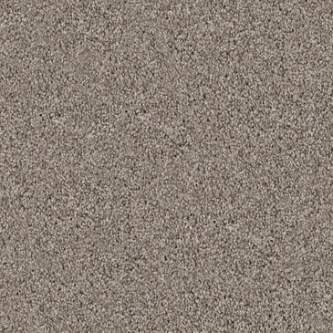 Dixie Home Devotion Carpet in Bison, , large