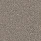 Dixie Home Devotion Carpet in Bison, , large