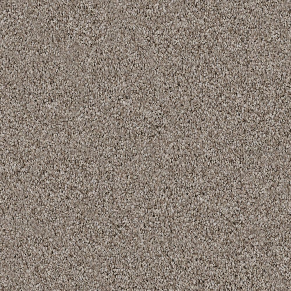 Dixie Home Devotion Carpet in Bison, , large