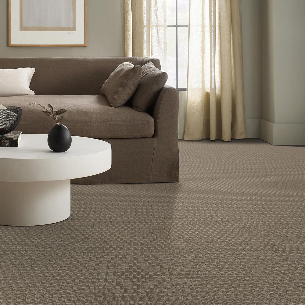 Anderson Tuftex Havencrest Carpet in Clay, , large