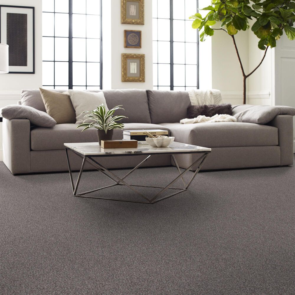 Shaw Inlet Shore II Carpet in Overcast, , large