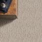 Anderson Tuftex Loom Carpet in Travertine, , large