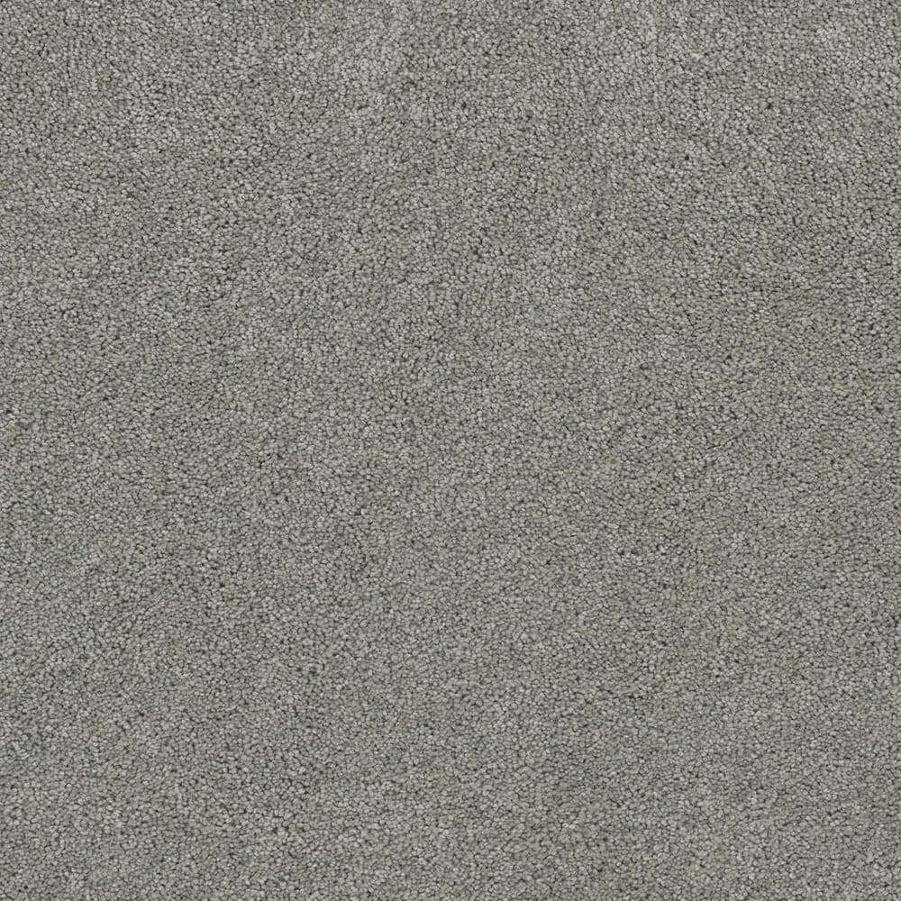 Dream Weaver Rock Solid Iii Carpet in Shamrock, , large