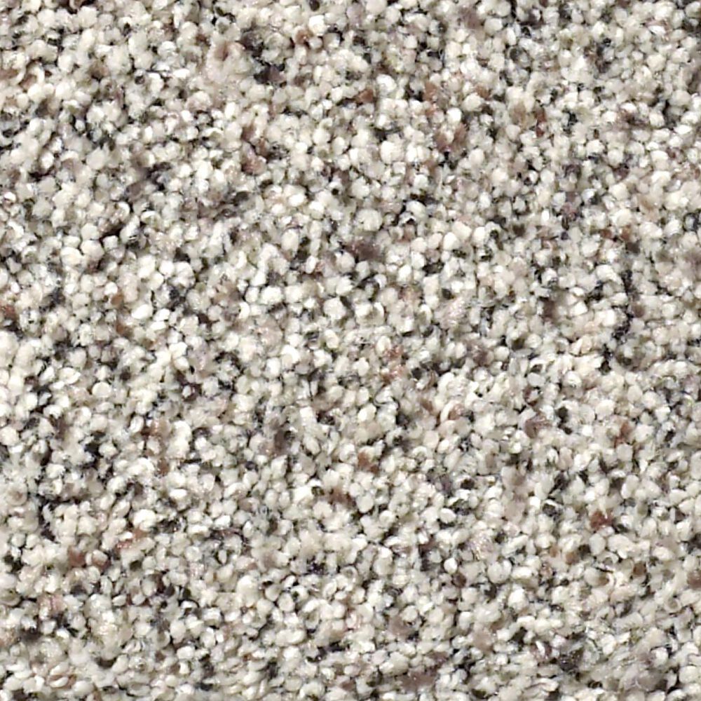 Shaw Find Your Comfort TA I Carpet in Cocktail Hour, , large