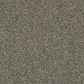 Shaw Making The Rules II Carpet in Dynamic, , large