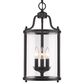 Golden Lighting Payton 3-Light Pendant in Matte Black, , large
