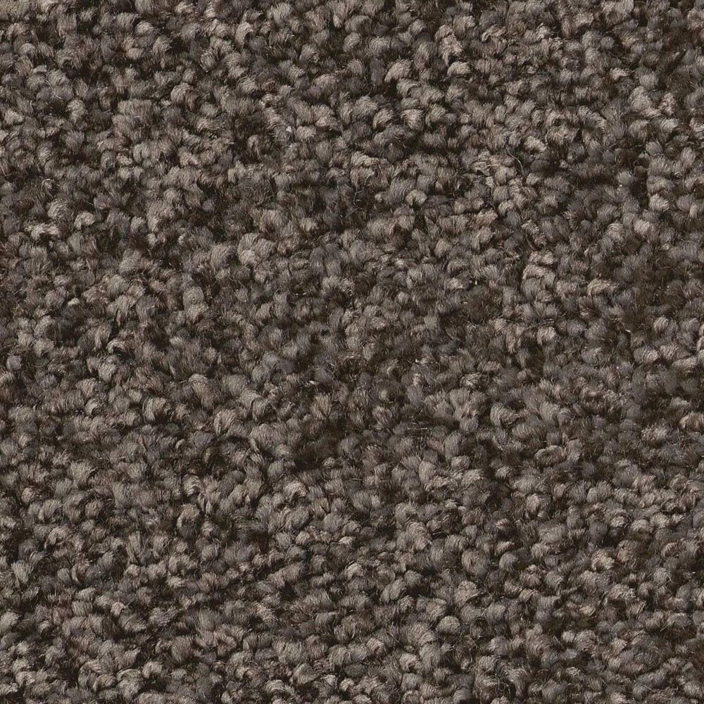 Shaw You Got This III Carpet in Urban Rustic, , large