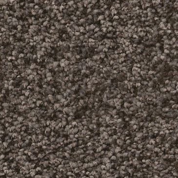 Shaw You Got This III Carpet in Urban Rustic, , large