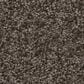Shaw You Got This III Carpet in Urban Rustic, , large