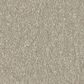 Shaw Awaken Spirit II 12" Carpet in Whiskers, , large
