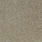 Mohawk Gentle Guardian lV Carpet in Rainstorm, , large