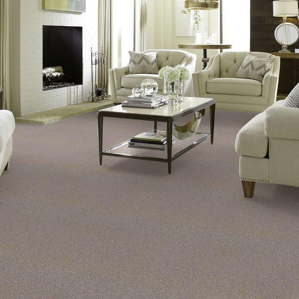 Anderson Tuftex Caress Cozy Harbor I Carpet in Baltic Stone, , large