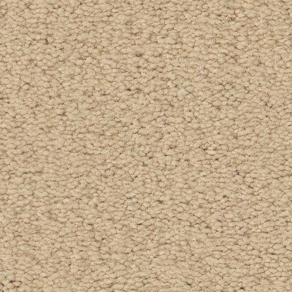 Anderson Tuftex Finery Carpet in Fresh Cream, , large