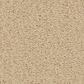 Anderson Tuftex Finery Carpet in Fresh Cream, , large