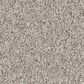 Shaw Imaginable I Carpet in Great Greige, , large