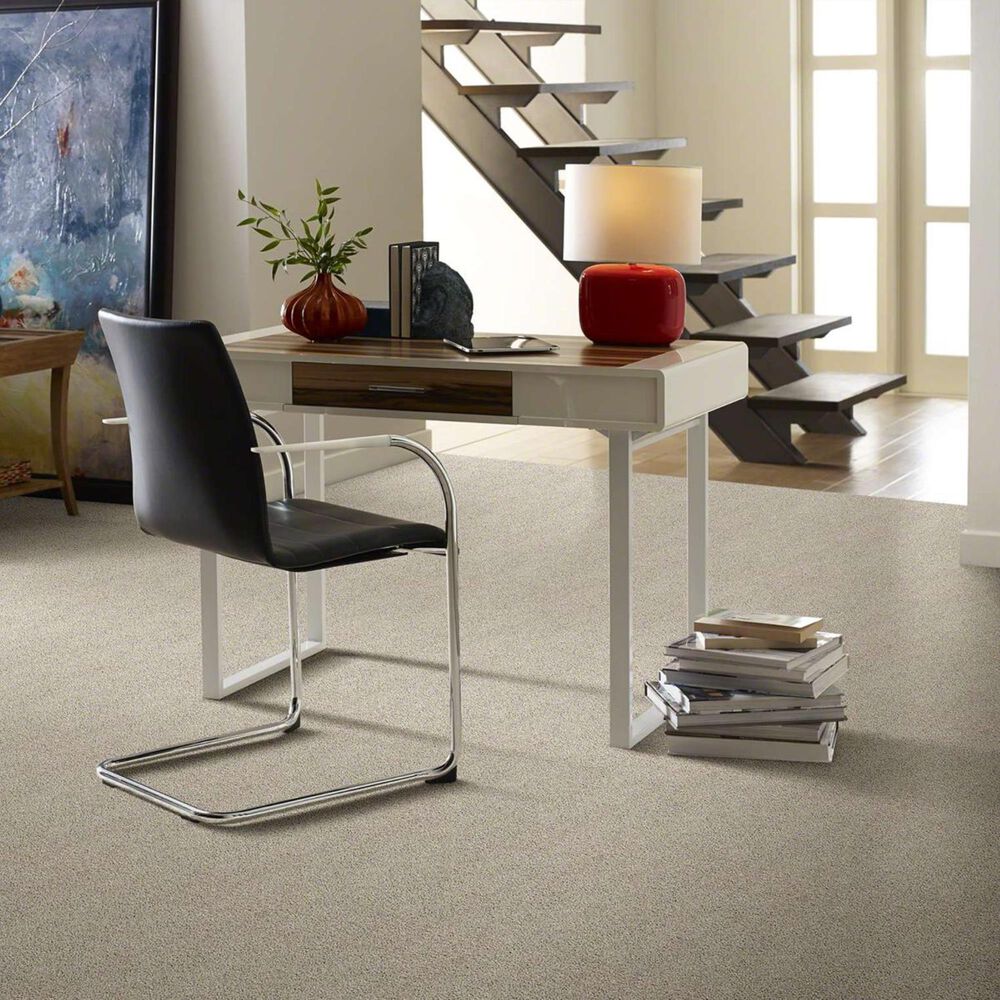 Shaw Acadia Park Carpet in Shale, , large