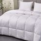 Blue Ridge Home Fashions Naples 700 Thread Count King Down Comforter in White, , large