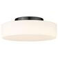 Golden Lighting Toli 1-Light Flush Mount in Matte Black, , large