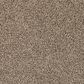 Karastan Dover Coast Carpet in Saddle, , large