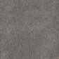 Dream Weaver Rustic Retreat II Carpet in Cloudy Coast, , large
