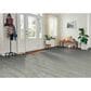 Robbins Pro-Tekt Classic Pro Eclectic Home 8" x 60" Luxury Vinyl Plank, , large