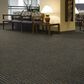 Shaw High Voltage 24" x 24" Carpet Tile in Turbine, , large
