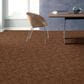 Anderson Tuftex Caress Free Spirit Carpet in Sunbaked, , large