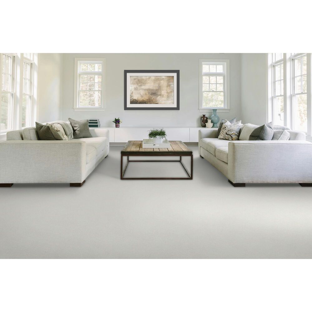 Mohawk Quality Feeling Carpet in Thundercloud, , large